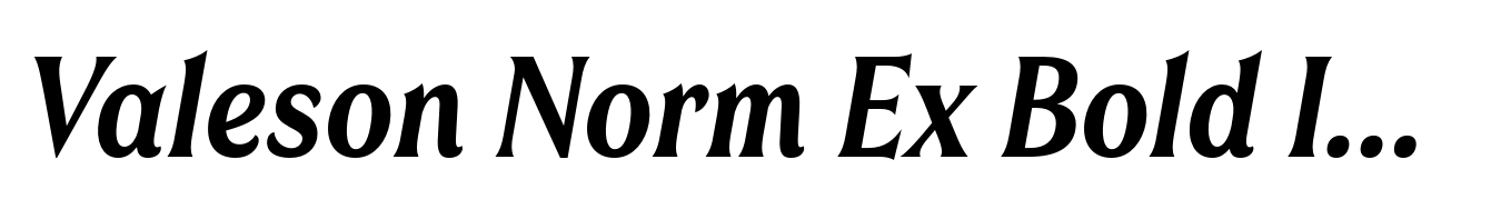 Valeson Norm Ex Bold Italic